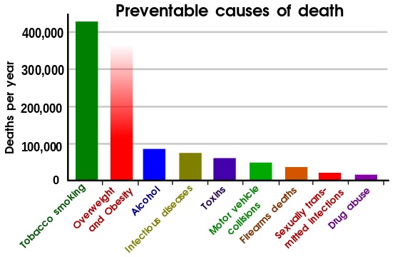 Preventable_causes_of_death.svg