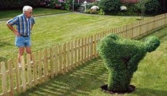 angry-landscaper